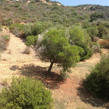 N2 F1 Vue Route Des Sanguinaires Αζάτσιο